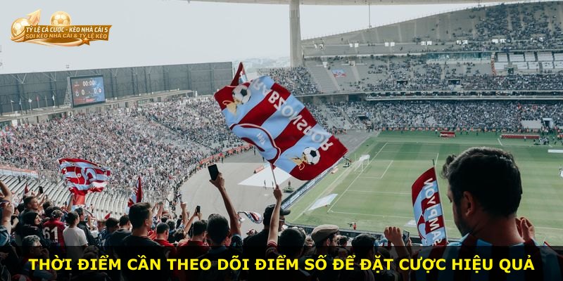 Thời điểm cần theo dõi điểm số để đặt cược hiệu quả