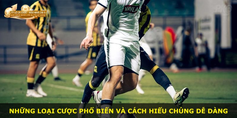Những loại cược phổ biến và cách hiểu chúng dễ dàng