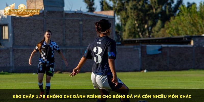 Kèo chấp 1.75 không chỉ dành riêng cho bóng đá mà còn nhiều môn khác